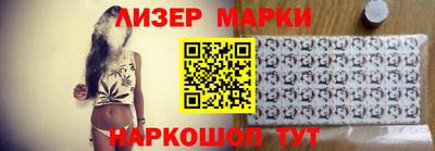 прущие грибы Нальчик
