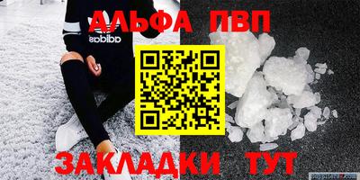 прущие грибы Нальчик