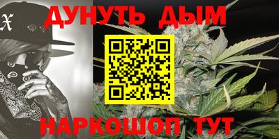 прущие грибы Нальчик