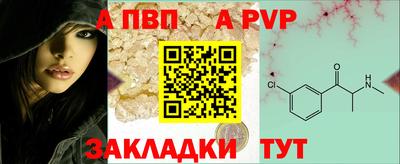 прущие грибы Нальчик