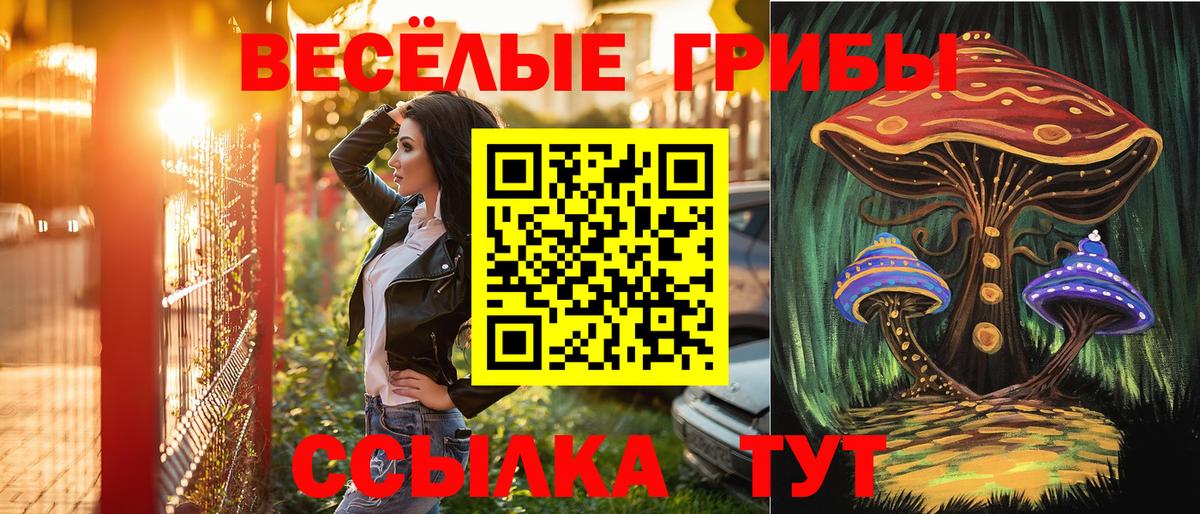 Славянск-на-Кубани  Галлюциногенные грибы Psilocybe  Вход с VPN  даркнет сайт  Галлюциногенные грибы Psilocybine cubensis 